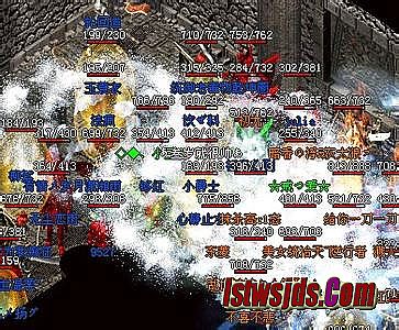 ������������̬����