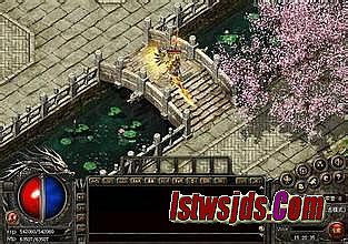 �����¿���������