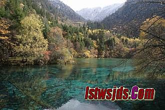 �����¿�1.76���Ŵ���